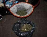 Schwytani za narkotyki w Markach