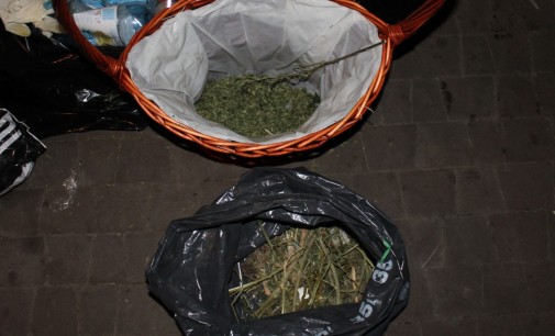 Schwytani za narkotyki w Markach
