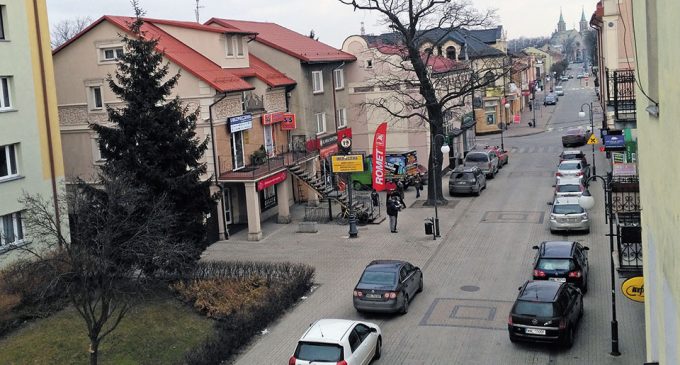 Prawdziwie zielony Wołomin
