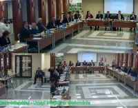 Kulisy symbolicznego obniżenia wynagrodzenia. Żaden radny nie pochwalił Elżbiety Radwan