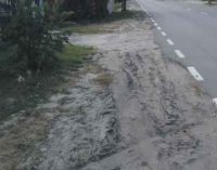 Wołomin – Czarna. Dzieci na poboczu