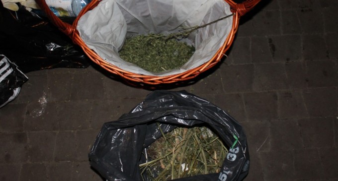 Schwytani za narkotyki w Markach