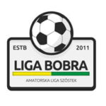 logo_ligabobra